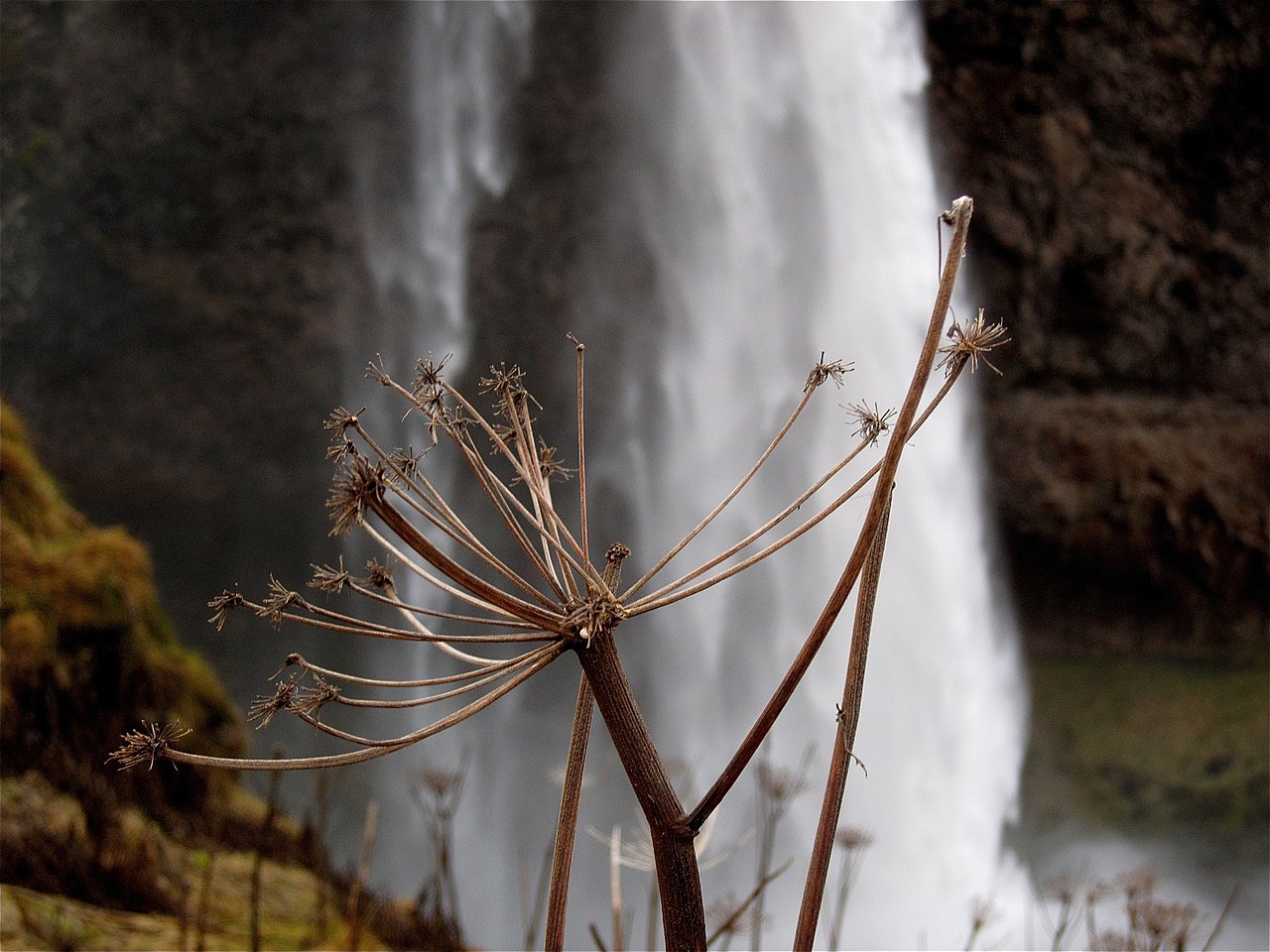 OpenHelm Brings Background Scheduling to Claude Code — No Extra AI Costs — Foreground - Background (3044005520)