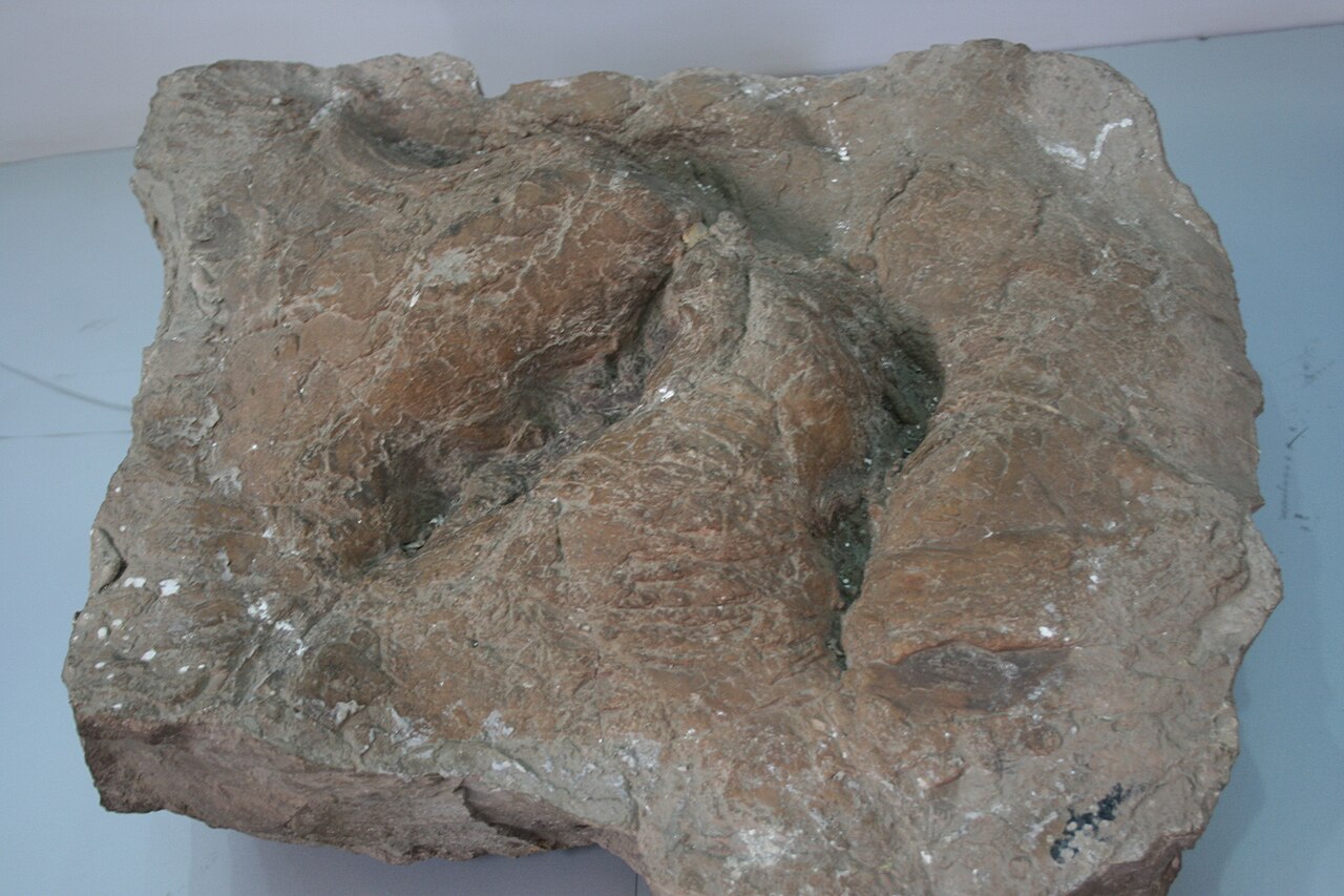 OpenClaw Deepens China Footprint Through Native Tencent, ByteDance Integrations — Yunnan Dinosaur Footprint (9964977056)