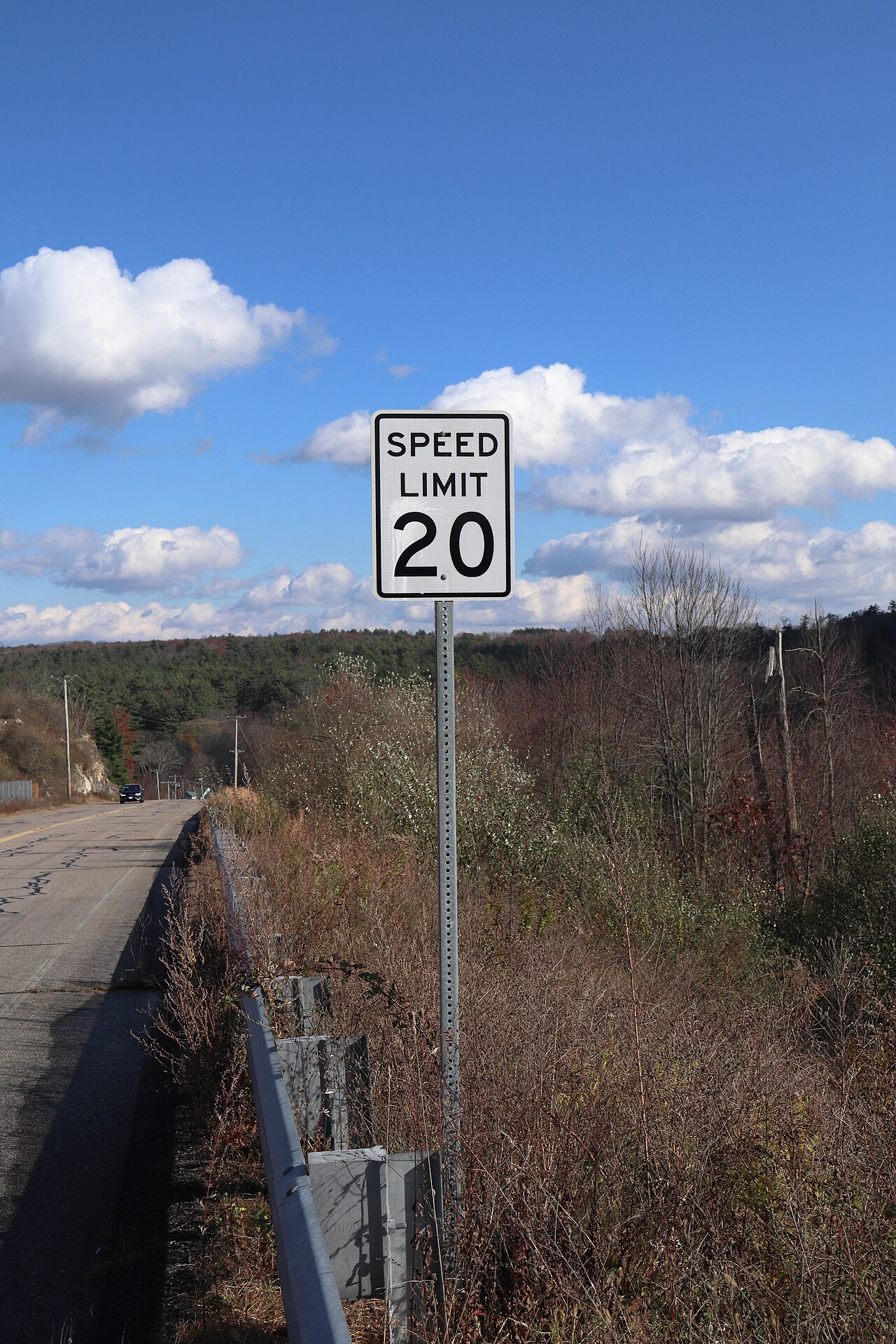 How to Use Junia AI for Page Speed Recommendations in 2026 — Speed Limit 20 sign on Commercial Drive, Southbridge, Massachusetts