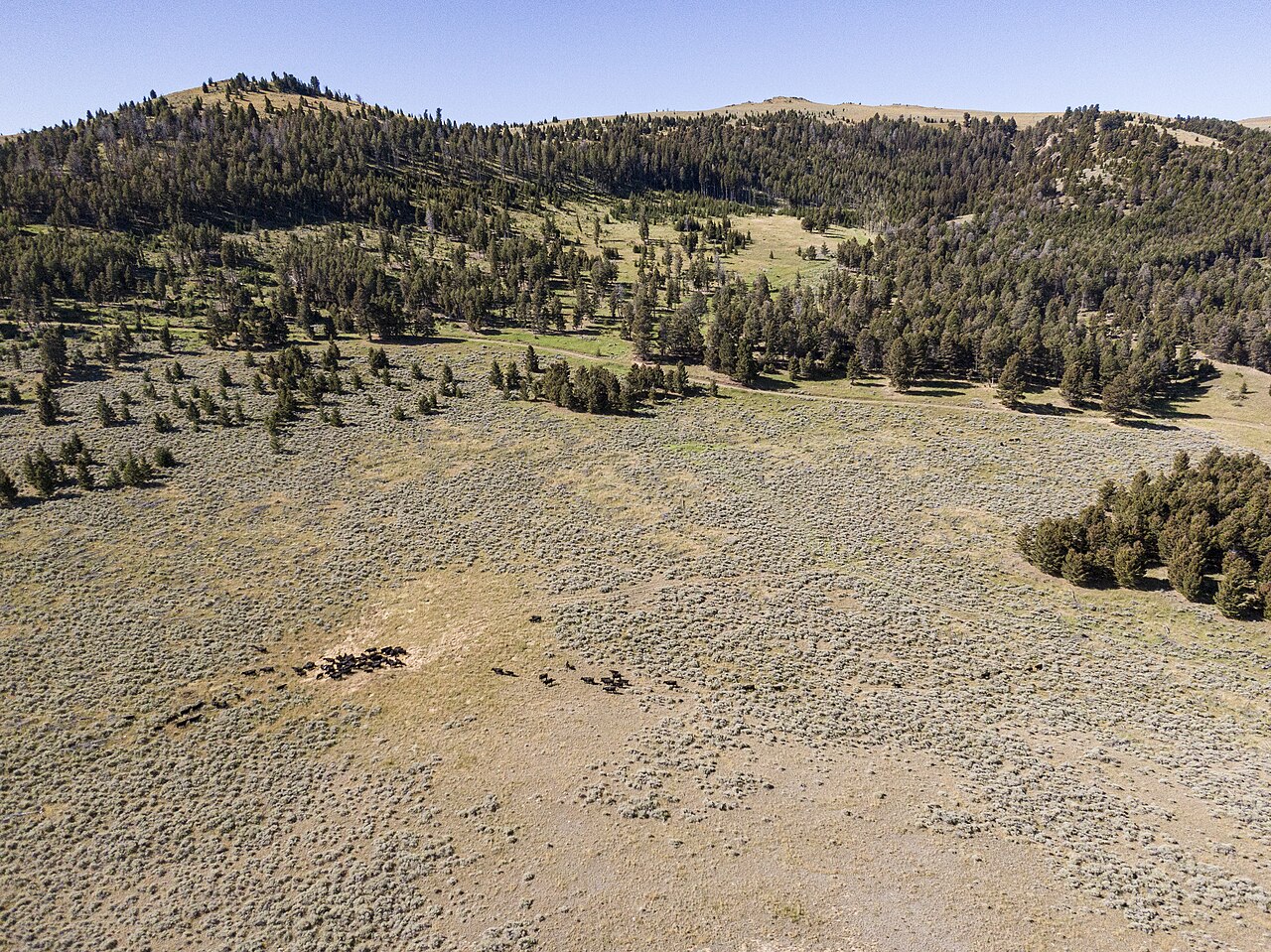 Treat Remote Inference as Untrusted Egress — Sauerbier Ranches' Rangeland Keep Remote Cattle Grazing and Watered (20190827-NRCS-LSC-0937)